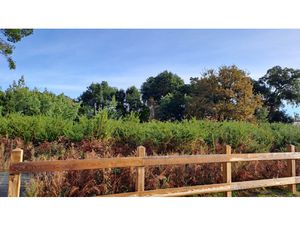 Achat Terrain 1 359m² MOLIETS ET MAA 40660