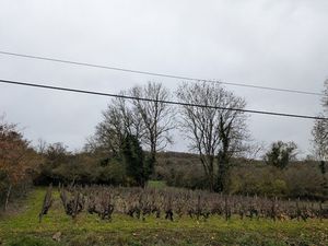 Terrain à vendre Chassey-le-Camp