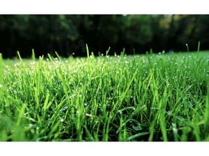 Terrain constructible quartier Saint Martie