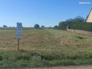 Terrain constructible