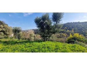 Terrain à vendre à Mandelieu-la-Napoule : 530 000€ | 1500m²