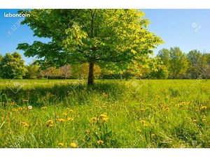 Recherche terrain constructible