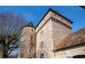 Château à vendre à Ambeyrac : 899 000€ | 370m²