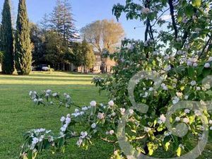 Maison de luxe à vendre à Raphele-les-arles : 990 000€ | 180m²