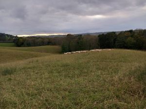 Mouguerre Elizaberry terrain 750m² au calme