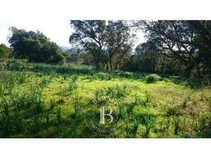 Terrain à vendre 2600 m2 Lecci - 480 000 &#8364;