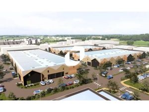 Vente Local d'activités Soufflenheim 67620