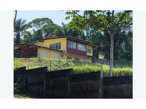 efficity Marie José Constable