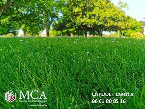 Vente terrain 893 m² Andernos-les-Bains (33510)