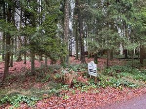 Terrain à vendre à La Forestière 338 Brûly-de-Pesche (VBD58351)