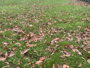 Vente Terrain à Locoal-Mendon (56550) : à vendre / 491m² Locoal-Mendon