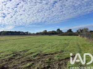 Vente Terrain à Fronton (31620) : à vendre / 1500m² Fronton