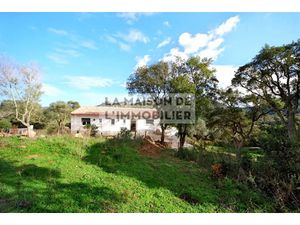 Vente villa 5 pièces 79.83 m² à Sotta (20146)  515 000 €