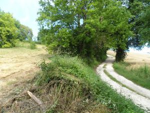 en vente Terrain constructible 25 ares – 36 000 € |Ribérac