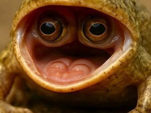 Jeune fermier cherche habitation