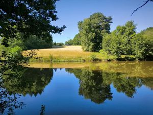 Vente terrain 38560 m² à Saint-Yrieix-la-Perche (87500)  39 000 €