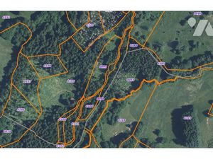 Vente terrain 17730 m² à Saulxures-sur-Moselotte (88290)  34 300 €