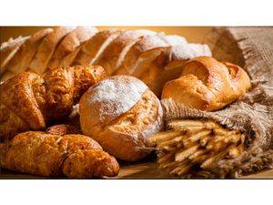 ? Devenez artisan de votre vie à Vence !