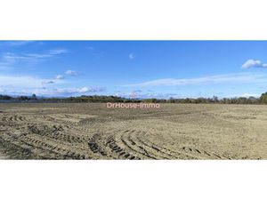 Terrain agricole 9920 m2 - Torreilles