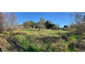 Vente terrain 500 m² à Cannes (06400)  245 000 €