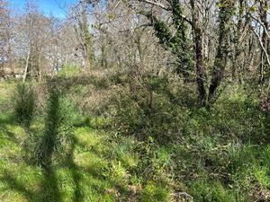 Vente terrain 506 m² à Lanton (33138)  197 000 €