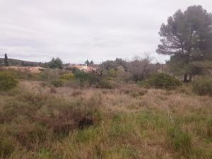 Vente terrain à batir 326 m² à Pignan (34570)  215 000 €