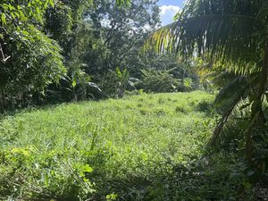 Vente terrain à batir 1327 m² à Riviere salee (97215)  110 000 €