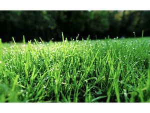 Vente terrain 887 m² à Colmar (68000)  273 000 €