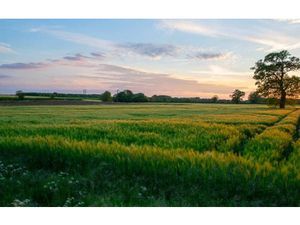 Vente terrain 600 m² à Tain-l'Hermitage (26600)  145 000 €