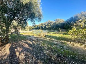 Vente terrain à batir 1513 m² à Grasse (06130)  375 000 €
