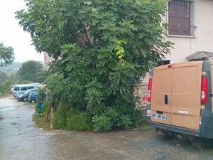 Local professionel 80 m2