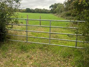 A louer 4 hectares avec hangar et eau
