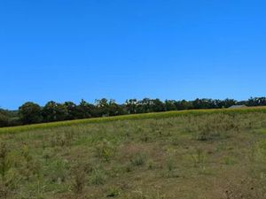 Vente terrain à Savigneux (01480)  114 000 €