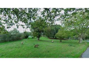 Vente Terrain à Hénon (22150) : à vendre / 984m² Hénon