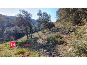 Vente terrain 3000 m² à Uzès (30700)  260 000 €