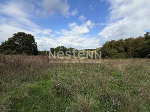 MOREAC - Terrain agricole à vendre 2 4 hectare de pature