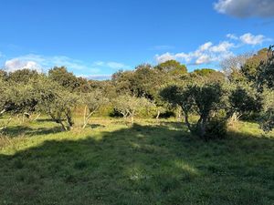 Vente Terrain à bâtir 1 764 m²