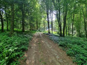Propriété en Agriculture Biologique proche de la Salvetat sur
