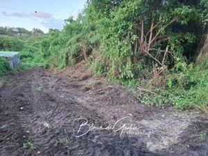 Terrain à vendre SAINT FRANCOIS (971)  Guadeloupe