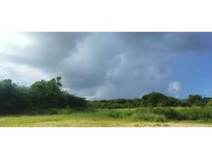 Terrain à vendre 900 m²  Belle allée SAINT FRANCOIS (971)  Guadeloupe
