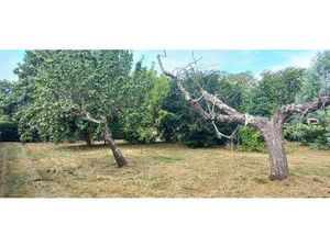 Vente terrain 830 m² Montpon-Ménestérol (24700)