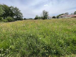 Terrain de 4000 m2 en vente - Vertou  Pays de la Loire