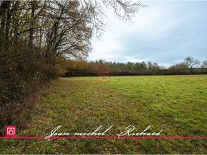 Achat Terrain 24 590m² BILLY 41130