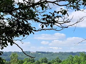 Achat : Maison (31350)