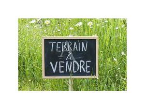 Vente Terrain à Nantes Pont Du Cens - Petit Port (44000) : à vendre / 437m² Nantes Pont Du