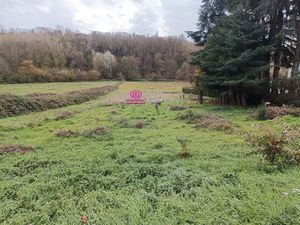 Terrain sur la commune de la Chapelle de Surieu