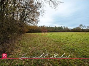 Vente terrain 24590 m² à Billy (41130)  33 990 €