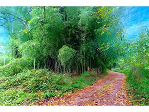 Vente terrain 3192 m² à Lescure-d'Albigeois (81380)  19 900 €