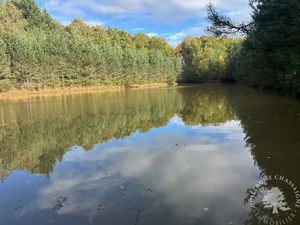 Vente terrain 15870 m² à Allogny (18110)  75 600 €