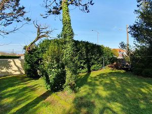 Vente terrain 655 m² à Saujon (17600)  99 000 €